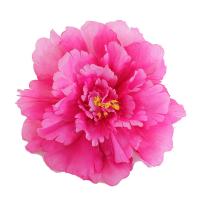 uploads/erp/collection/images/Home Garden/CongDing/XU0611491/img_b/XU0611491_img_b_5